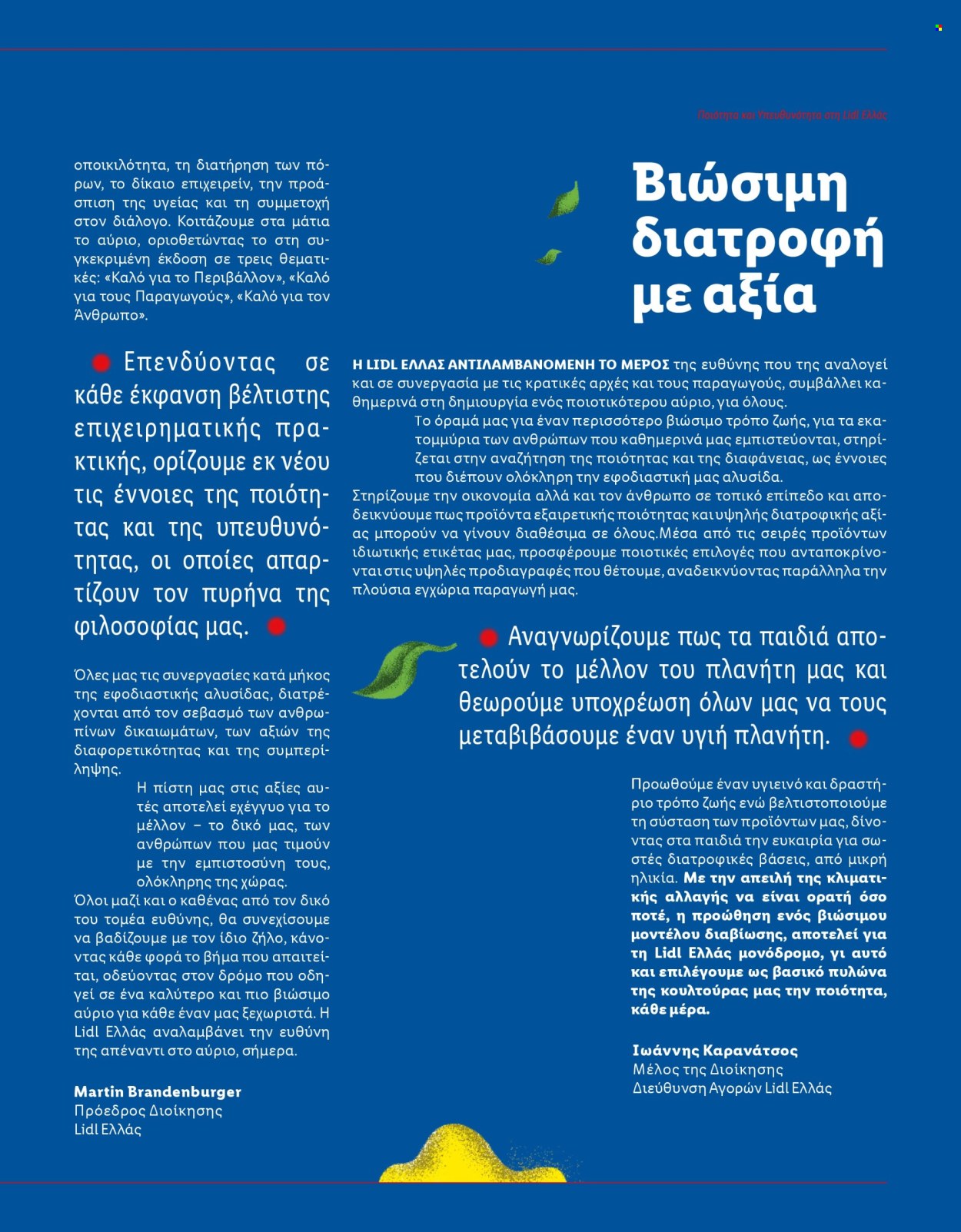 Φυλλάδιο Lidl. Σελίδα 7.