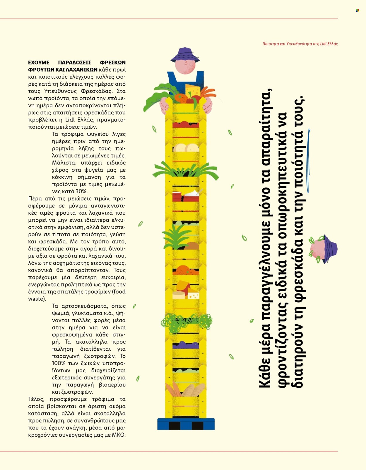 Φυλλάδιο Lidl. Σελίδα 15.