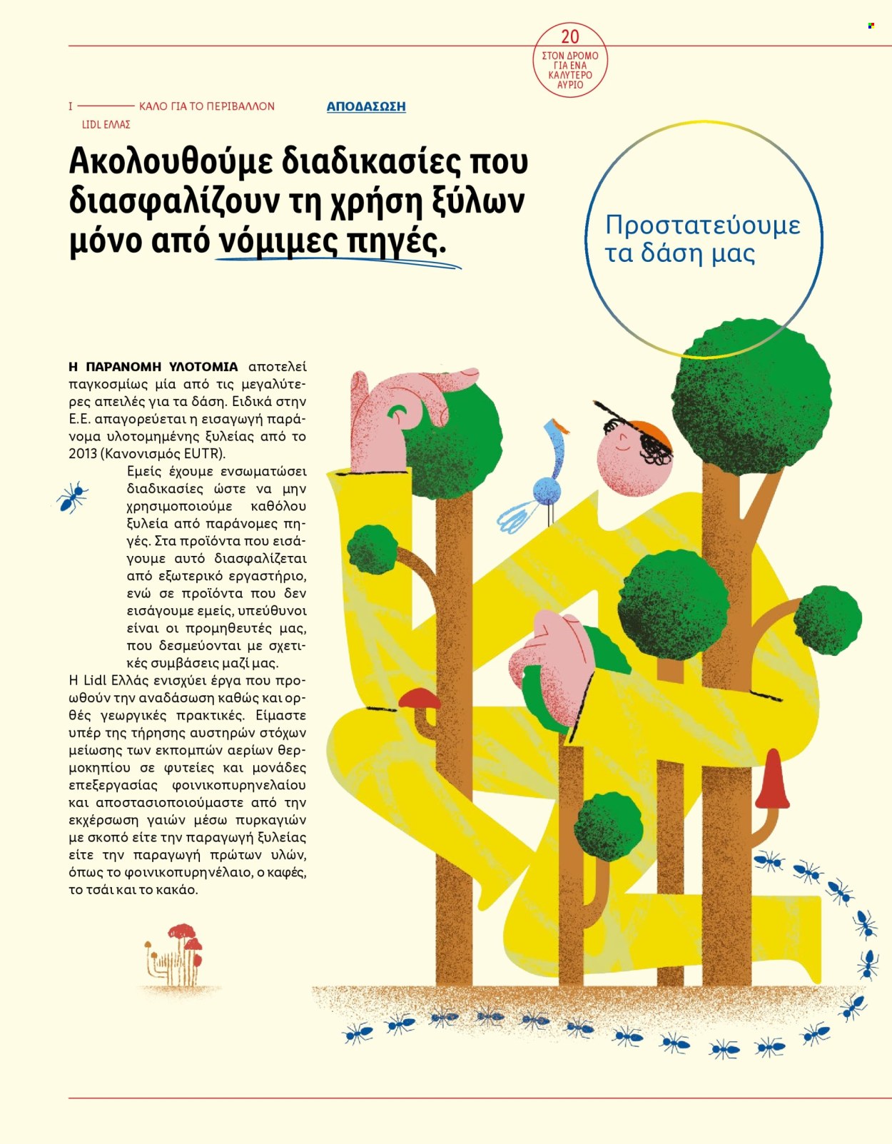 Φυλλάδιο Lidl. Σελίδα 22.