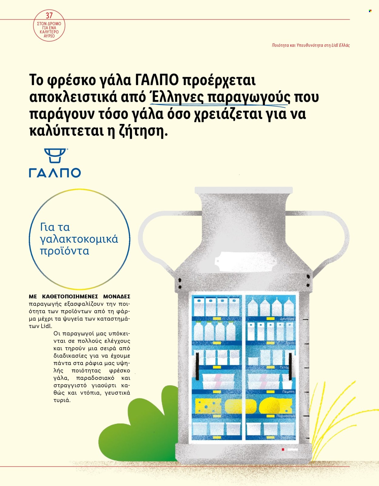 Φυλλάδιο Lidl. Σελίδα 39.