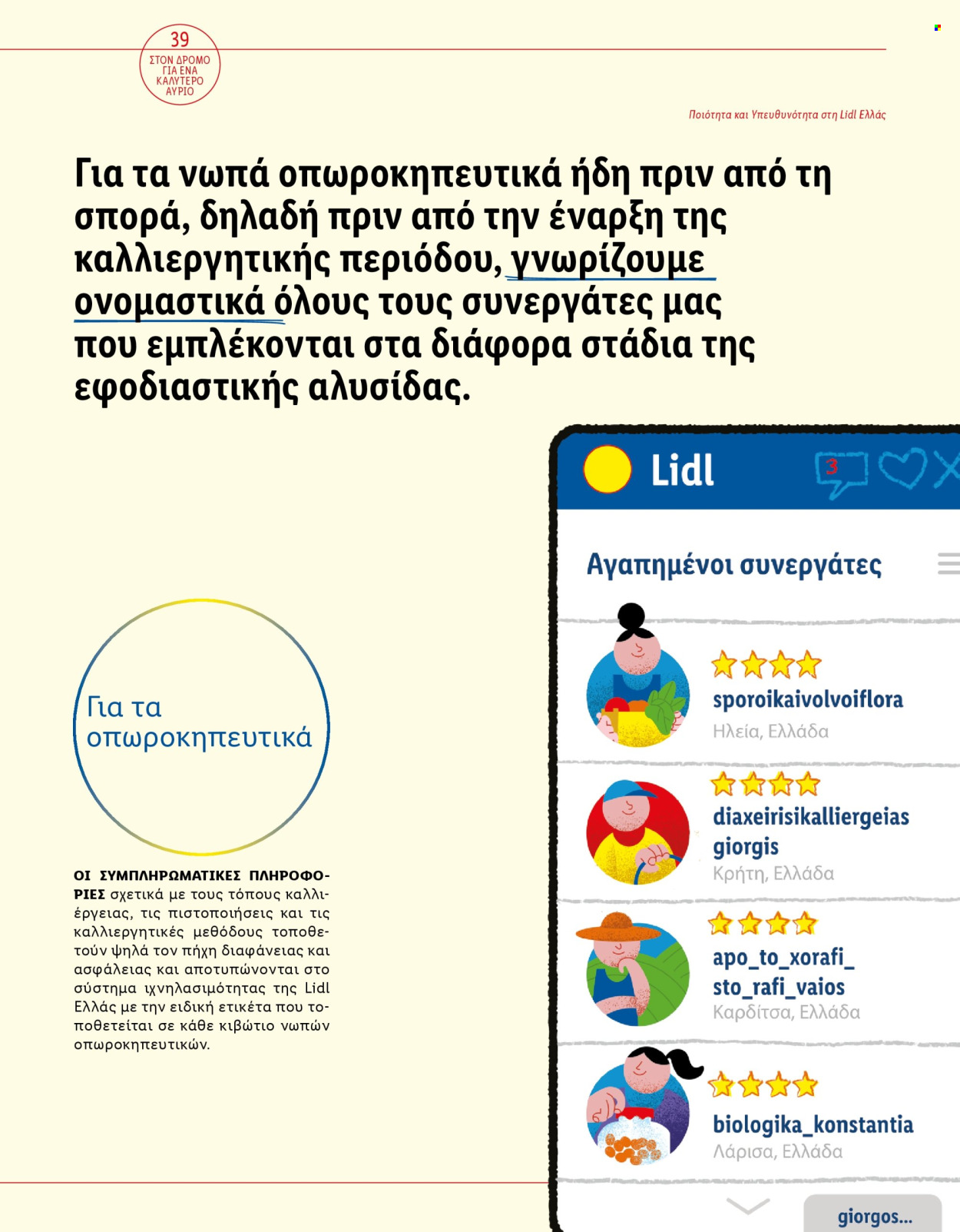 Φυλλάδιο Lidl. Σελίδα 41.