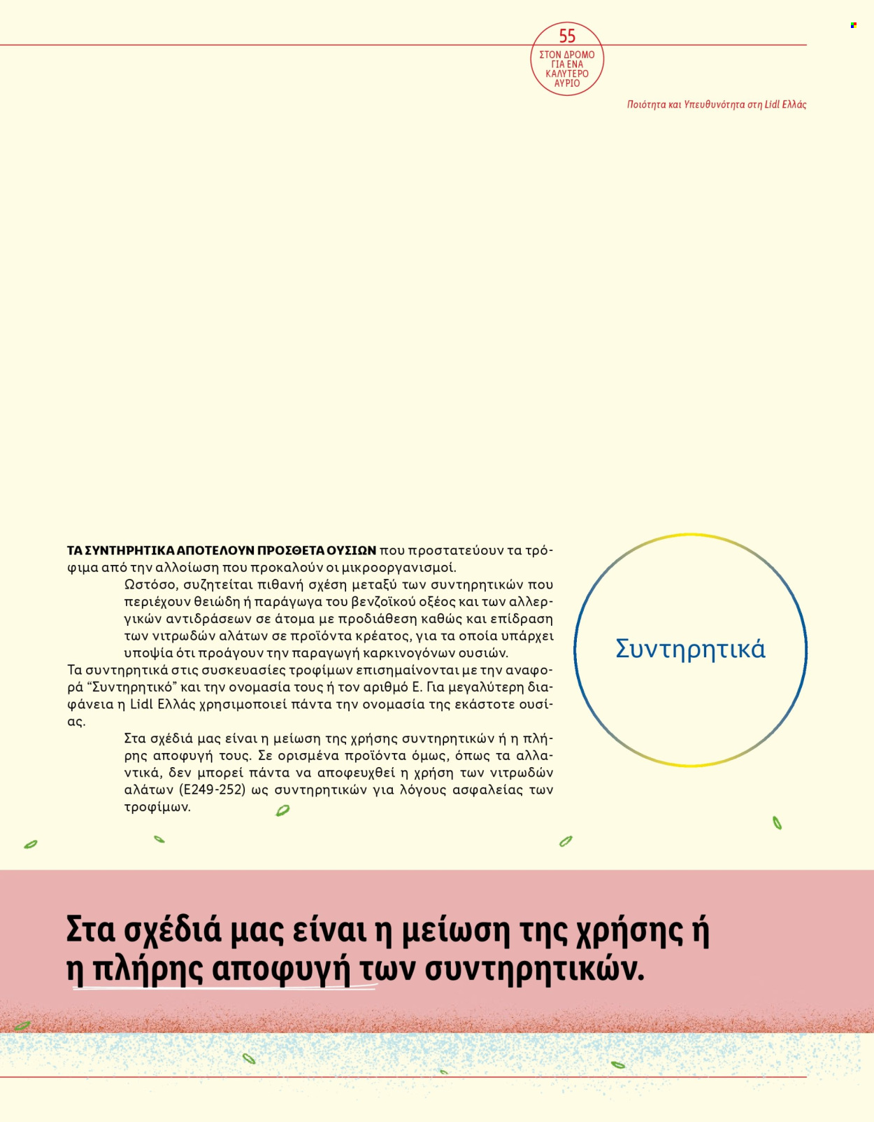 Φυλλάδιο Lidl. Σελίδα 57.