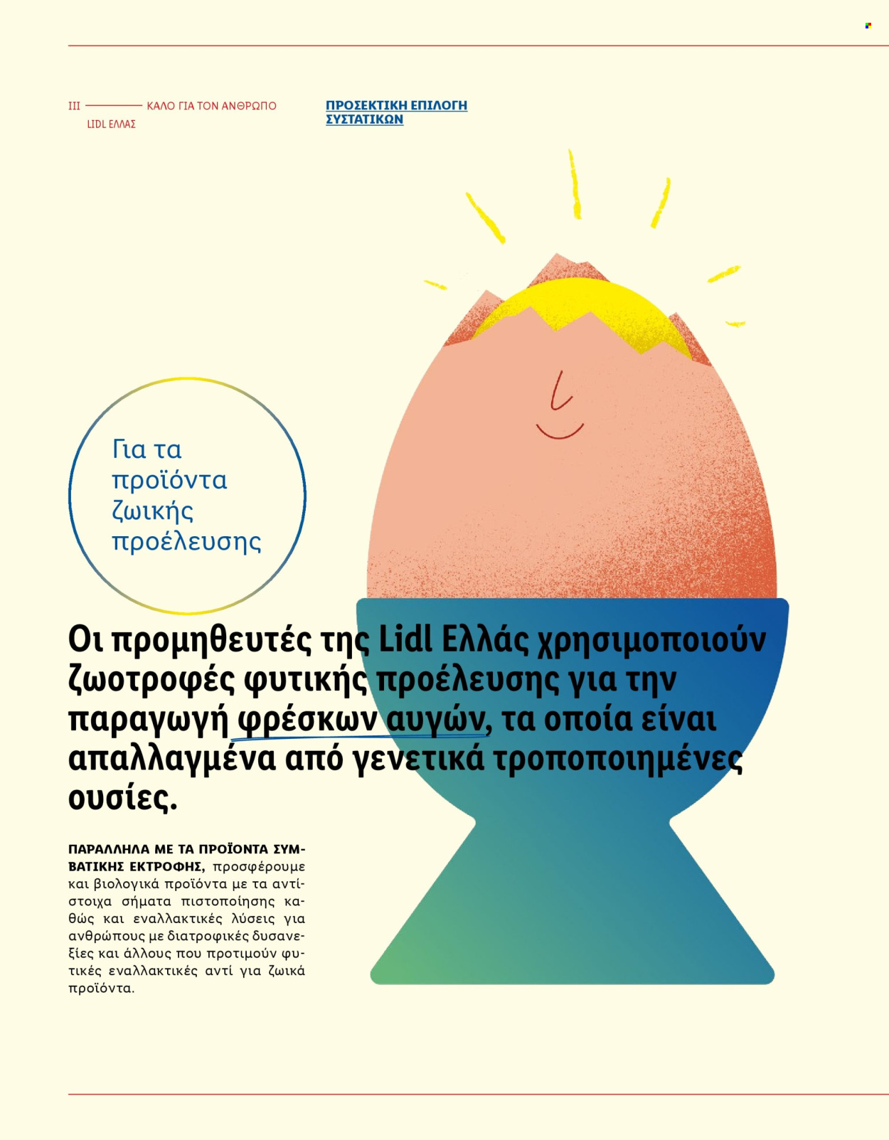Φυλλάδιο Lidl. Σελίδα 58.
