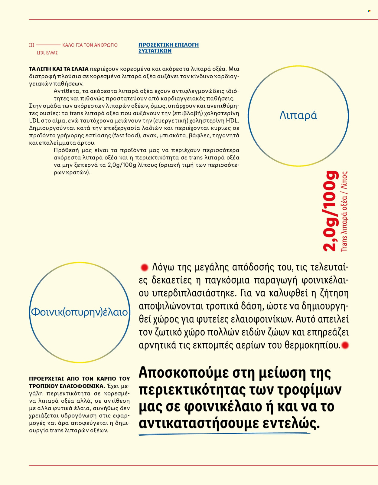 Φυλλάδιο Lidl. Σελίδα 62.