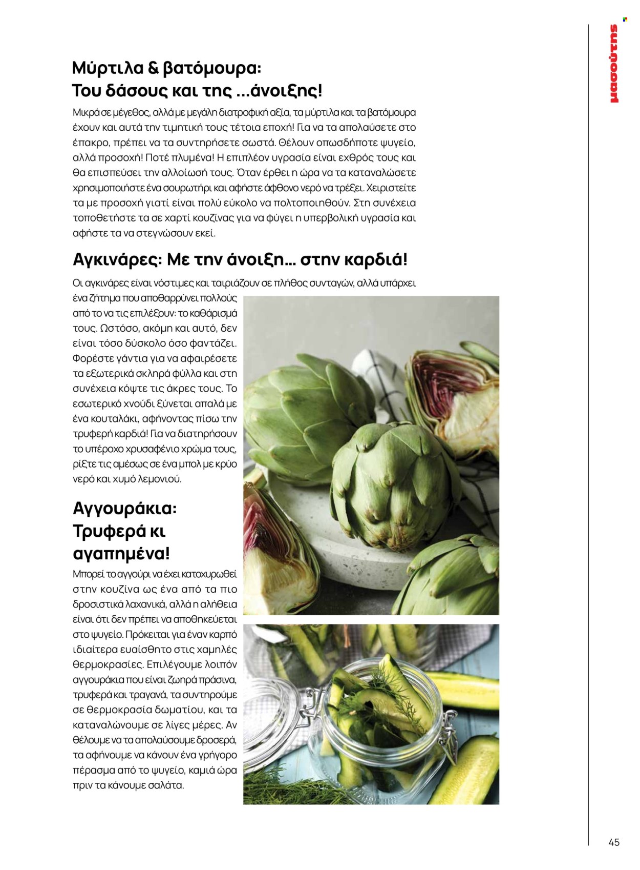 Φυλλάδιο Masoutis. Σελίδα 45.