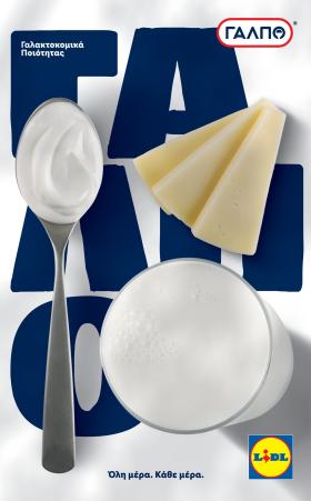 Lidl - Όλη μέρα ΓΑΛΠΟ