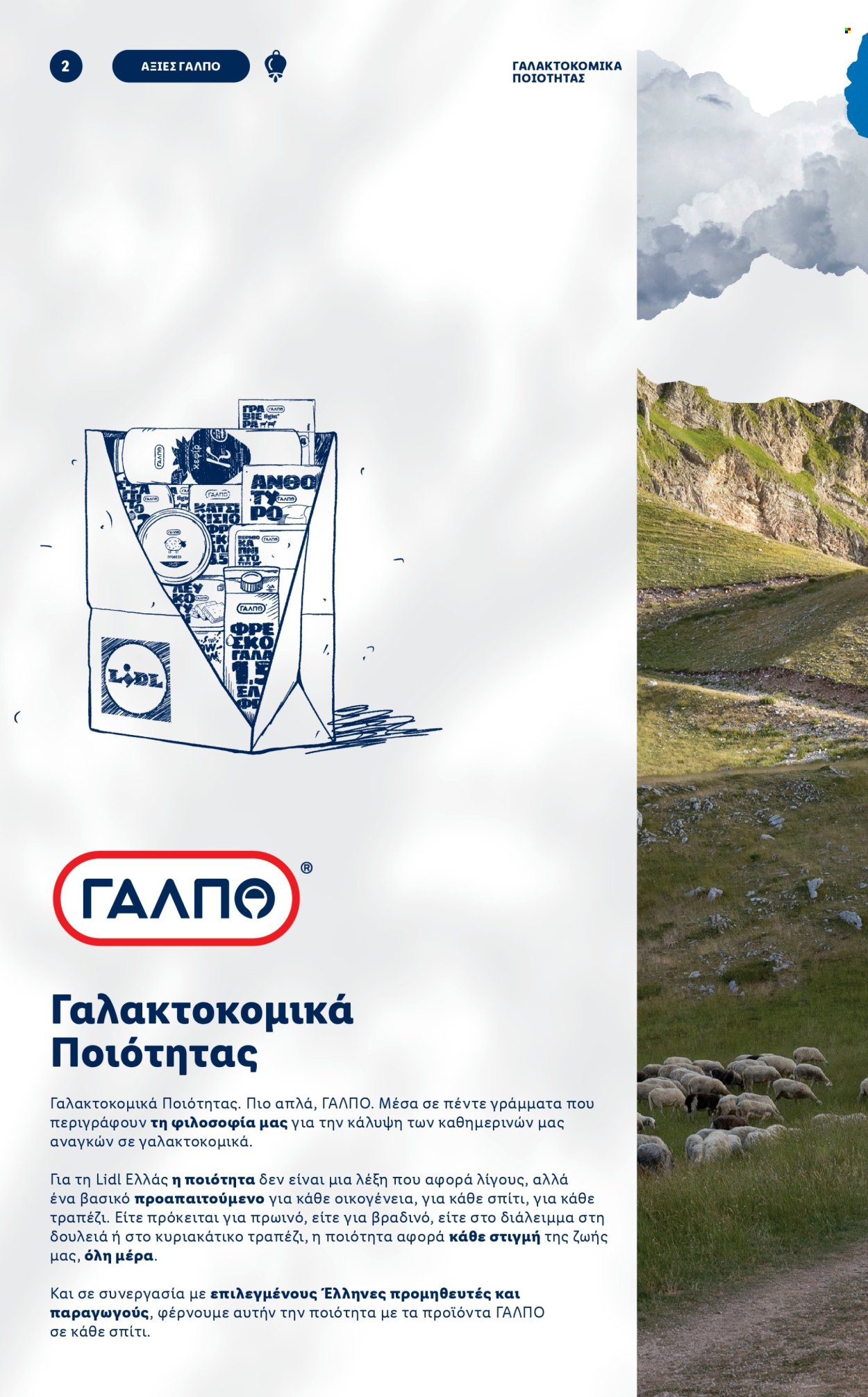 Φυλλάδιο Lidl. Σελίδα 2.