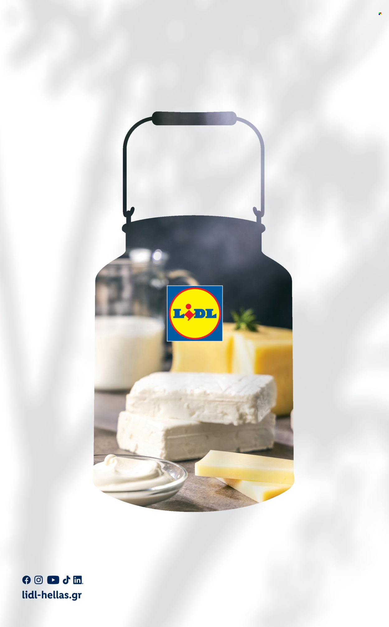 Φυλλάδιο Lidl. Σελίδα 24.