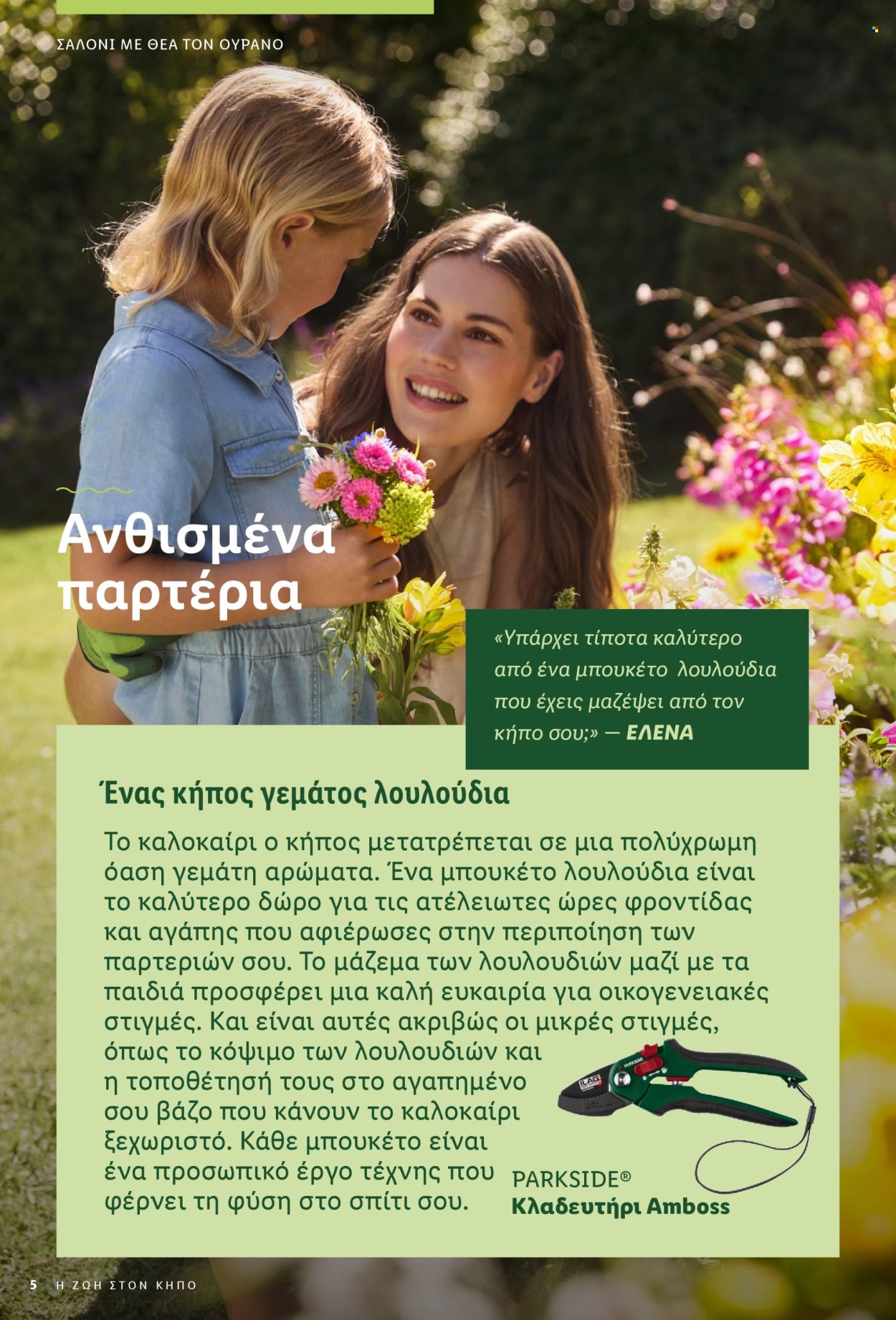 Φυλλάδιο Lidl. Σελίδα 5.