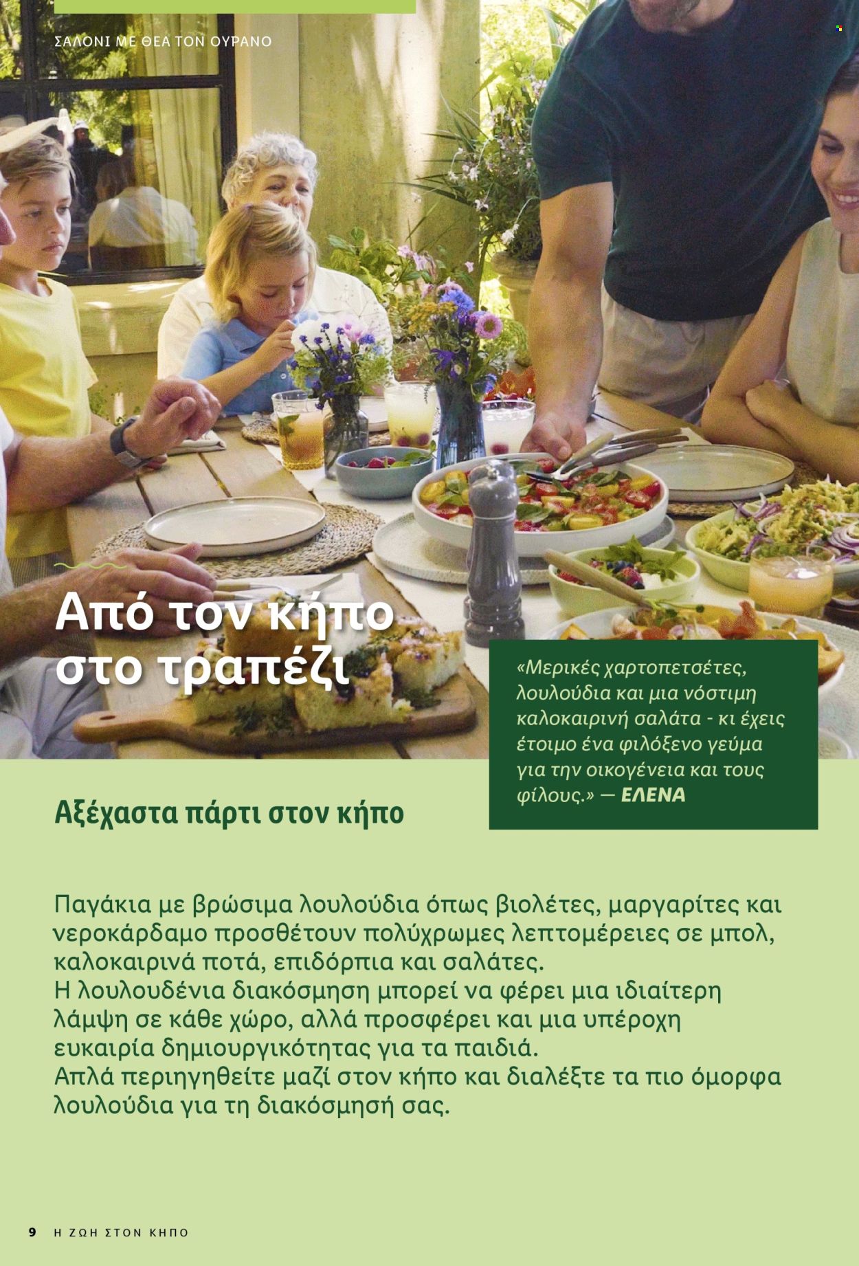 Φυλλάδιο Lidl. Σελίδα 9.