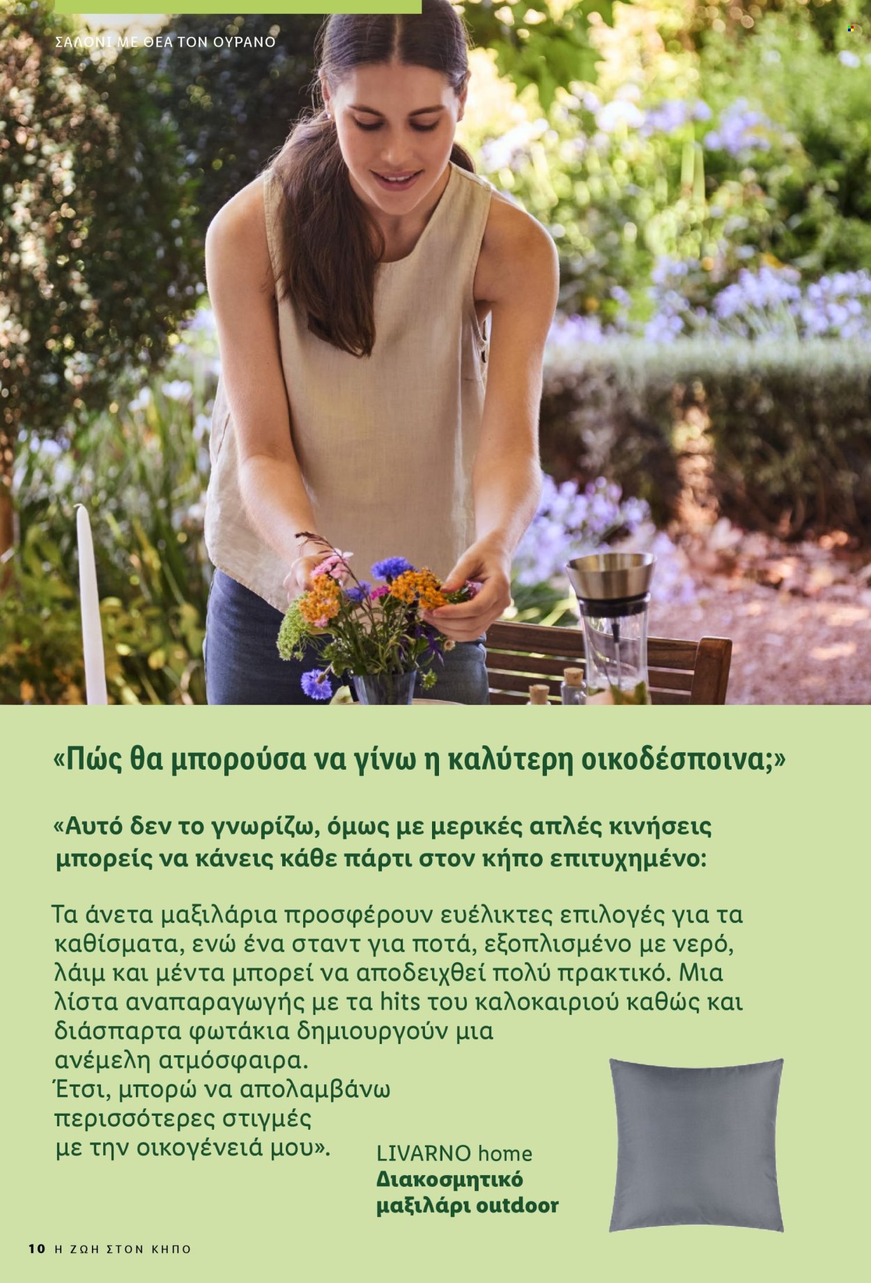 Φυλλάδιο Lidl. Σελίδα 10.