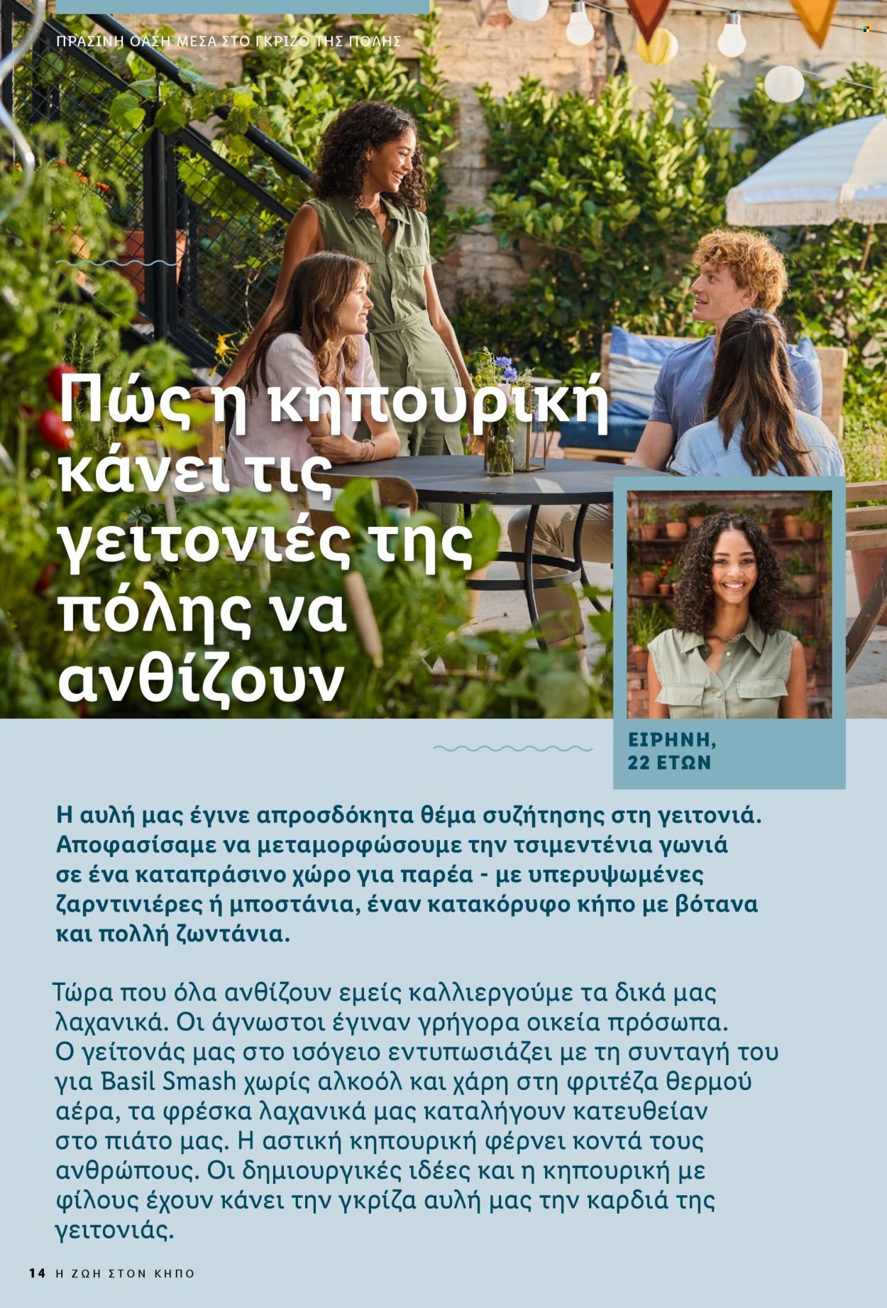 Φυλλάδιο Lidl. Σελίδα 14.