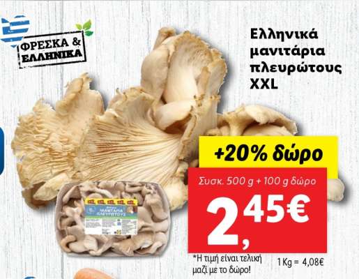 Ελληνικά μανιτάρια πλευρώτους XXL